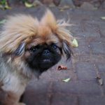IMG_0323 (2)