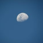 IMG_0496