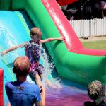 IMG_1382 (2)