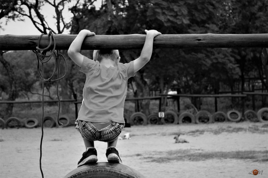 _MG_0308 (2)